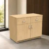STG-02 office storage, office storage cabinet, office storage furniture, 2 drawer office cabinet, office cabinet with drawers, wooden finish office cabinet, modern office storage, office furniture, office furniture manufacturer, office furniture Ghaziabad, office storage unit, commercial office furniture, office cabinet manufacturer, office furniture supplier