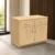 STG-02 office storage, office storage cabinet, office storage furniture, 2 drawer office cabinet, office cabinet with drawers, wooden finish office cabinet, modern office storage, office furniture, office furniture manufacturer, office furniture Ghaziabad, office storage unit, commercial office furniture, office cabinet manufacturer, office furniture supplier