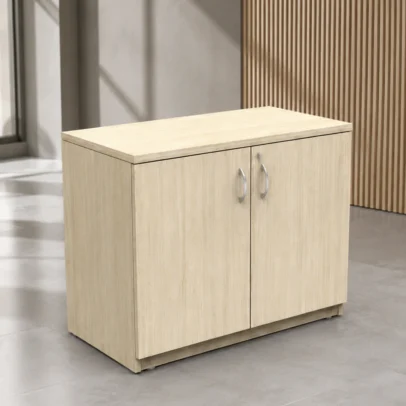 STG-03 office storage, two door office cabinet, office storage cabinet, office storage furniture, modern office cabinet, wooden finish office cabinet, office storage unit, two door storage cabinet, office furniture, office furniture manufacturer, office furniture Ghaziabad, commercial office furniture, office cabinet manufacturer, office furniture supplier