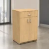 STG-04 office storage, tall office storage cabinet, office storage cabinet, office storage furniture, office cabinet with drawer, two door office cabinet, wooden finish office cabinet, modern office storage, office furniture, office furniture manufacturer, office furniture Ghaziabad, office storage unit, commercial office furniture, office cabinet manufacturer
