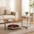 centre table centre table set modern centre table dual level centre table round centre table wood grain centre table metal frame centre table centre table with tray living room table modern living room furniture contemporary centre table home furniture Ghaziabad furniture manufacturer Ghaziabad Global Star Furniture