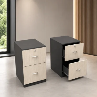2 drawer office storage, office storage pedestal, office drawer pedestal, P2DR-E storage pedestal, office storage unit, office furniture, wooden finish office storage, black office storage, light wood office furniture, office furniture manufacturer, office furniture Ghaziabad, office storage furniture, commercial office furniture, office furniture supplier